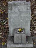 image of grave number 199314